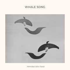 Whale Song
