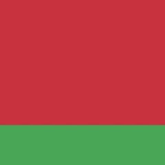 Read Online BELARUS: Country Flag A5 Notebook (6 x 9 in) to write in with 120 pages White