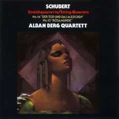 String Quartet No. 14 in D Minor, D. 810 "Death and the Maiden": I. Allegro