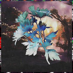 watering flowers as the world comes undone