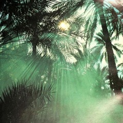 JUNGLE FEELS