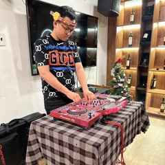 NST VIETMIX OẢI CẢ CHƯỞNG 2k24 - TINTIN RMX