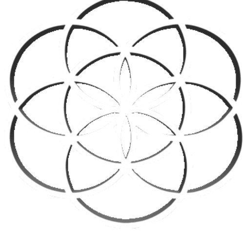 ROLLWMEPLSSTEP IVVYS