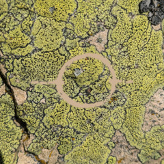 Out Of Focus 021 - deep-sky objects