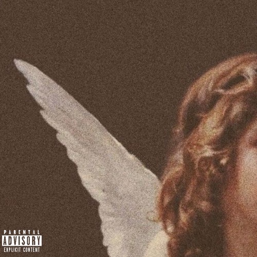 The Brown Angel Project