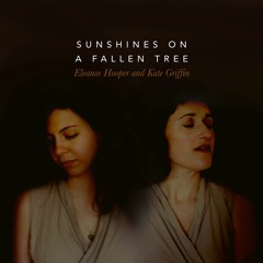 Sunshines On A Fallen Tree (with Ash tree field recordings)