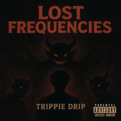 Lost Frequencies