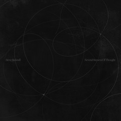 KR3.016 | Steve Bicknell - Several Streams of Thought LP
