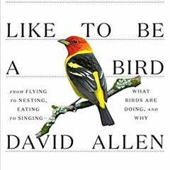 Ebooks download What It's Like to Be a Bird: From Flying to Nesting, Eating to Singing--What Birds A
