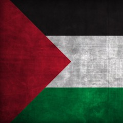 Palestine Will Be Free