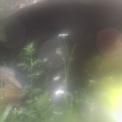 Rocío. 16 de Junio (2023)