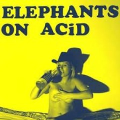 Whisky And Good Times