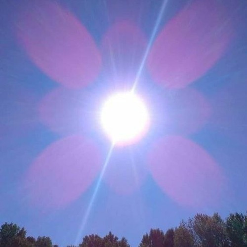 yokai - red celine (essence + x1tal)