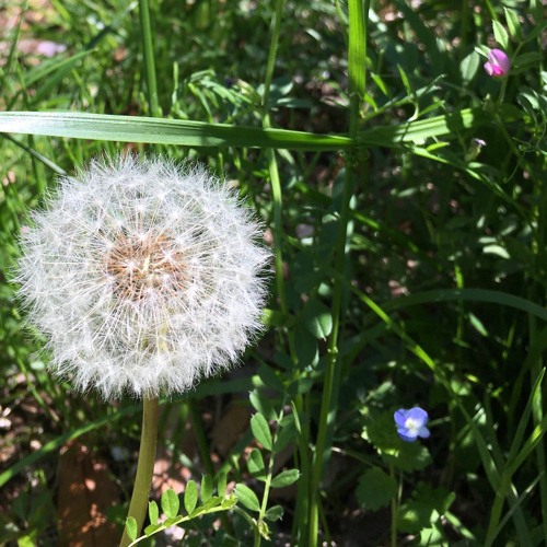 from idea tape No.12