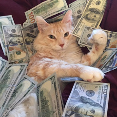 Already Rich w/ xänny (remix)