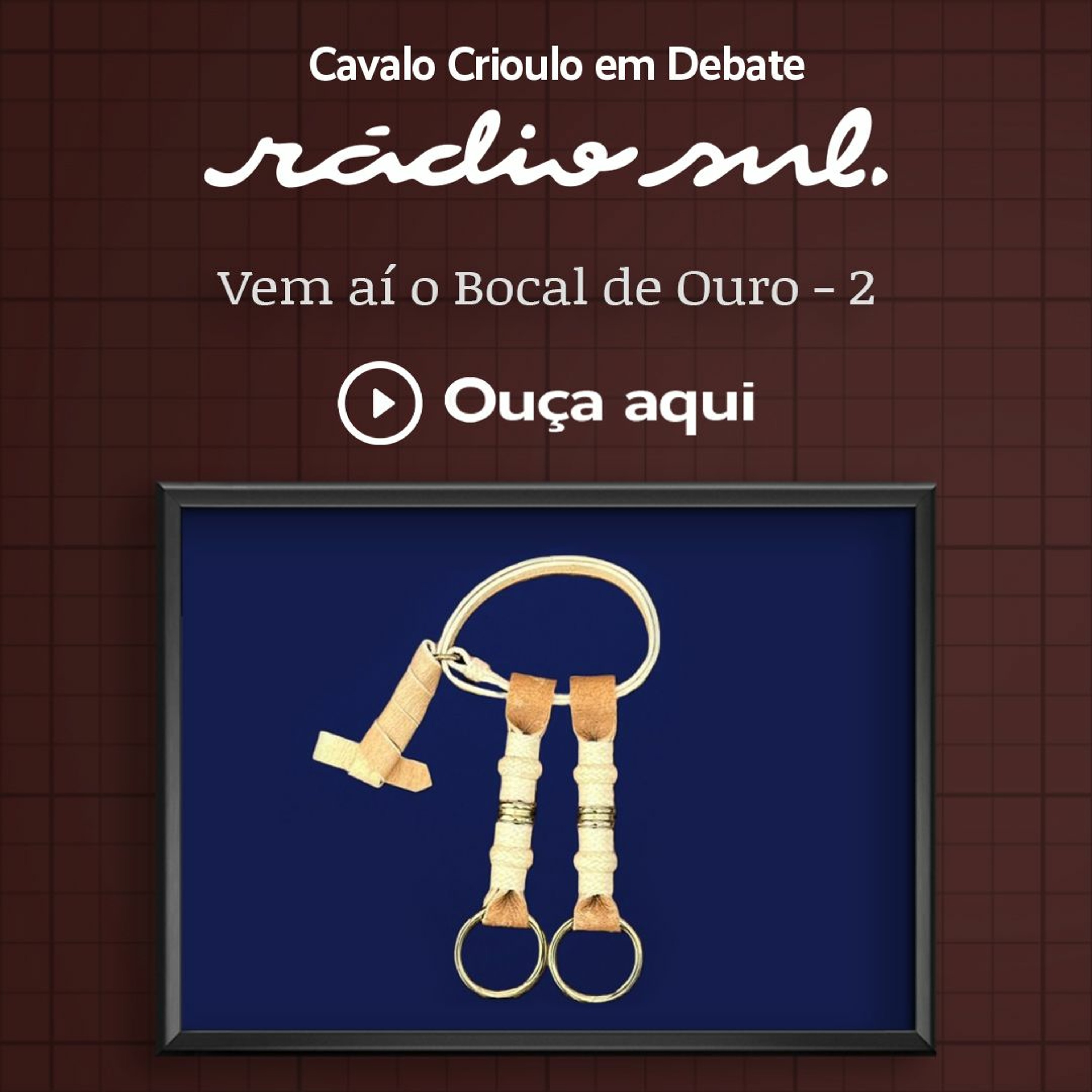 Radiosul.net