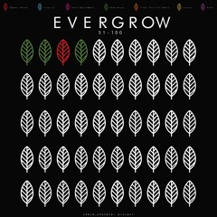 EVERGROW #54 - The Cool Down (Electro/Deep/House)