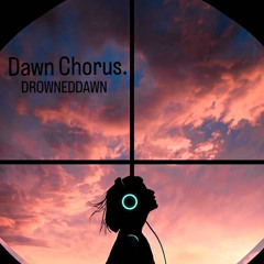 Dawn Chorus (Melodic Techno DJ Set)