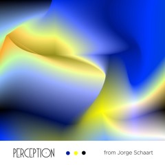 Perception from Jorge Schaart
