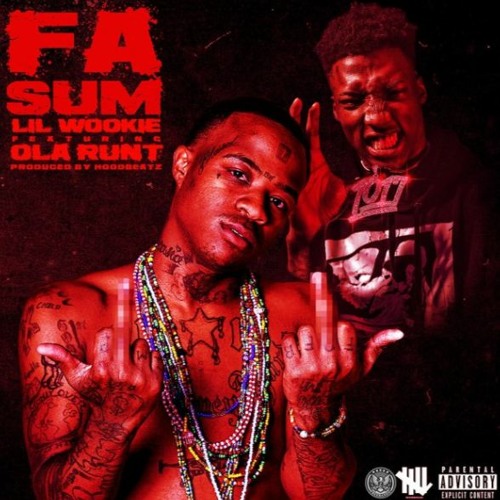 Lil Wookie Ft Ola Runt - Fa Sum