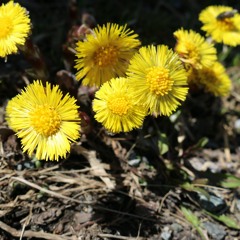 Like A Superhero Movie, But For Real - Soryu Forall