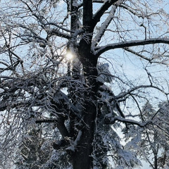 letzter Tag- Edo Saiya