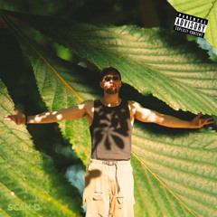 Dendrophile