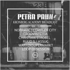 PETRA PAHN - Kronberg Academy Broadcast (Nopamin Remix)