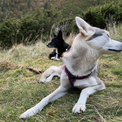 stødig står eg i meg