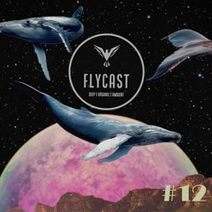 Flycast #12