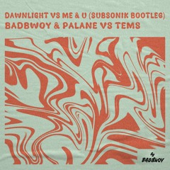 Badbwoy & Palane vs Tems - Dawnlight vs Me & U (SUBSONIK Bootleg)