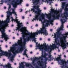 Dark Underground Hip Hop Instrumental Rap Beat