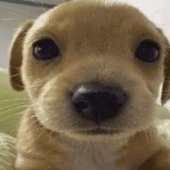 Камбулат - Руки тянутся сами к тебе руки тянутся где же ты где