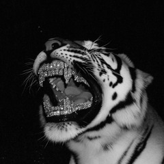 viceroy. (outro) p* aotb