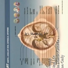 It´s MoMday