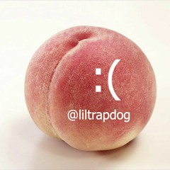 liltrapdog - I Wish I Didn't (emotional)