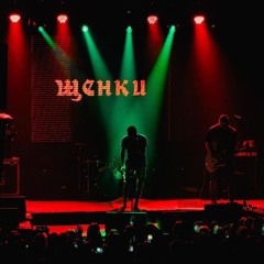 Щенки - Некрасивые и неспящие
