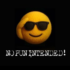 NO PUN INTENDED!