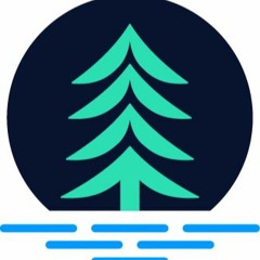 We Blame Our Shelves 11 - 13 - 2024