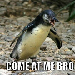 Obsession produced by (chilly_fro$t)