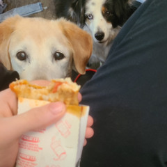 Fruity Freestyle (Prod. DJ Paul)