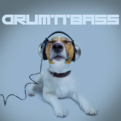 MIX  D!D DRUM'N BASS LE 26 FEV 2025