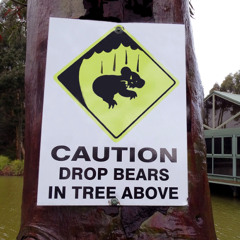 Drop Bear
