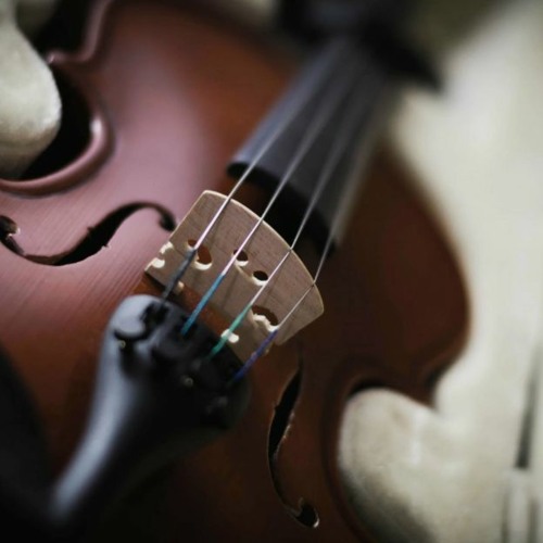 --- Pop  gaming background music FREE DOWNLOAD