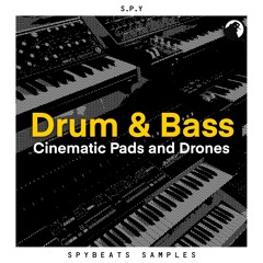 Drum & Bass - Cinematic Pads and Drones [SAMPLE PACK]