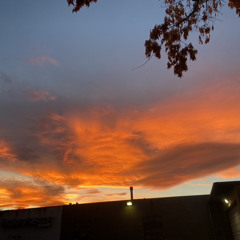 untitled_loop1expsme_3