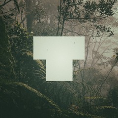 Tramtunnel - Tapirus Terrestris (Original Mix)