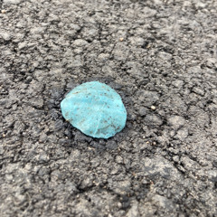 GOM(gum) _Freestyle (Prod. by Chxse Bank)