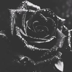only for u