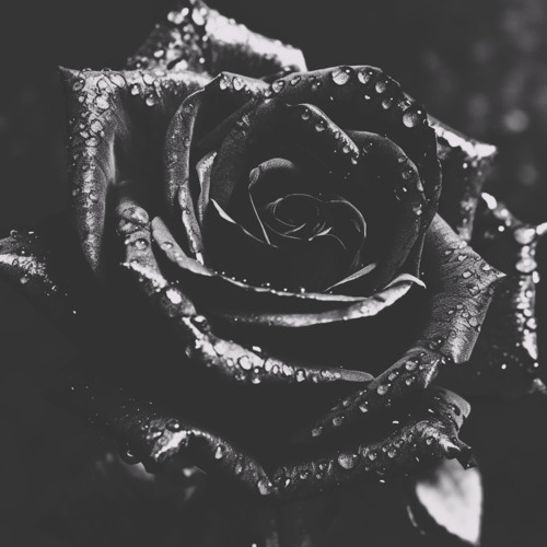 only for u